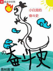 ԪȫĶ