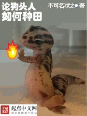 ½֯ȫĶ